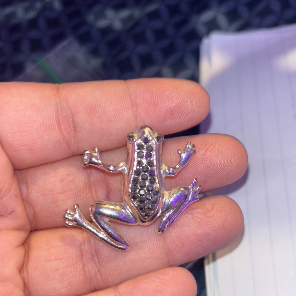 Silver Frog Brooch with Black Accents